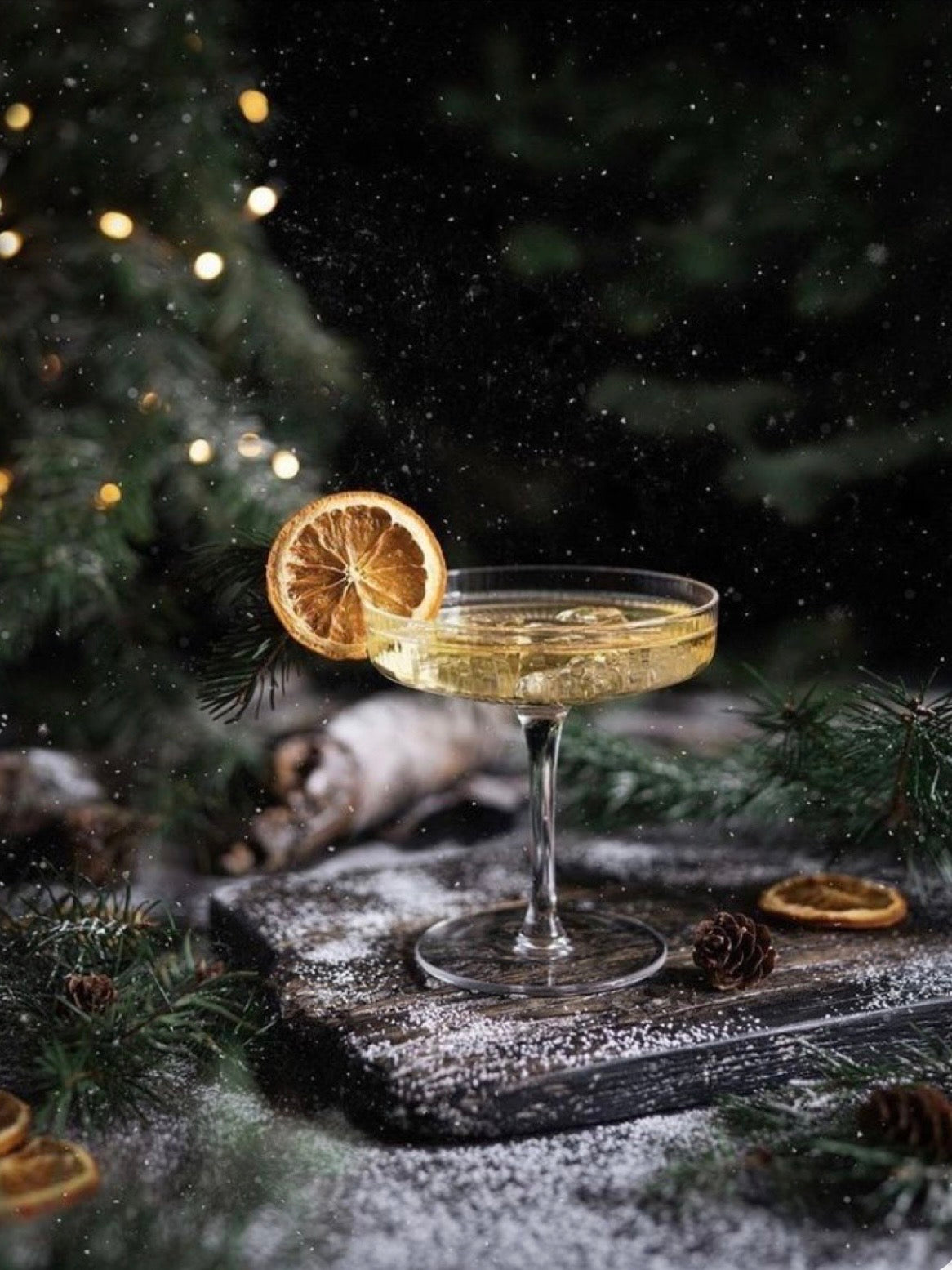 Radionica Zimskih Koktela